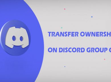 How to transfer ownership on discord